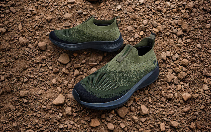 Olive-Black