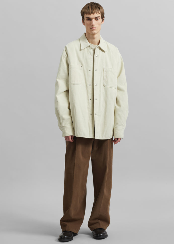 Borken Pleated Twill Pants - Brown