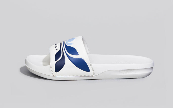 White-Blue