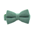Bowtie Collar / XS
