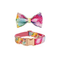 Bowtie Collar / XS