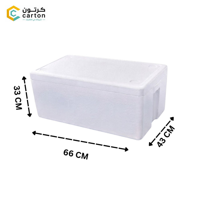 Large-capacity Foam Ice Box Designed For Storing Large Size