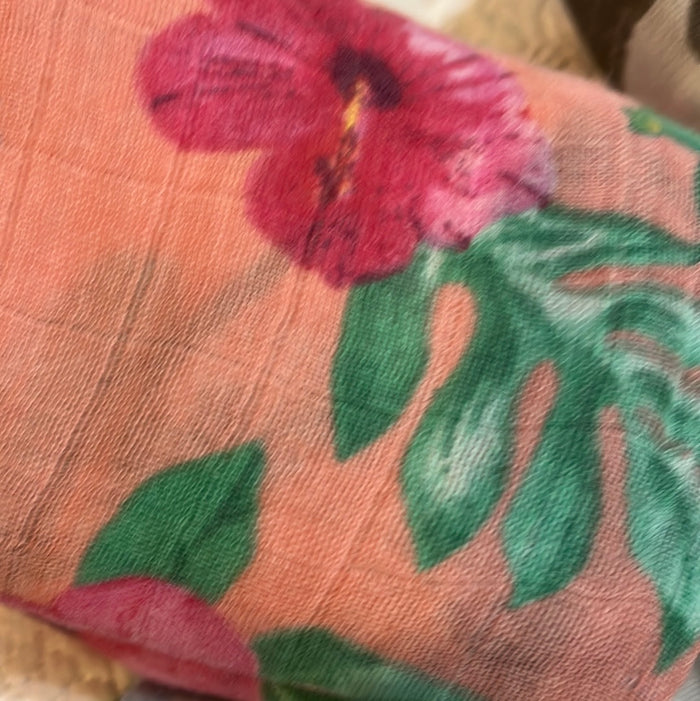 Hibiscus