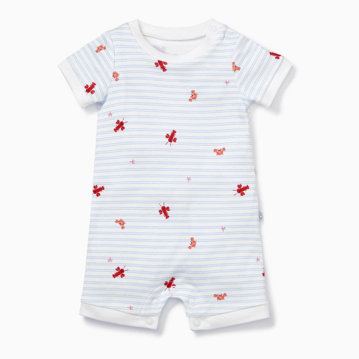 flatlay_roundel_cotton_bamboo