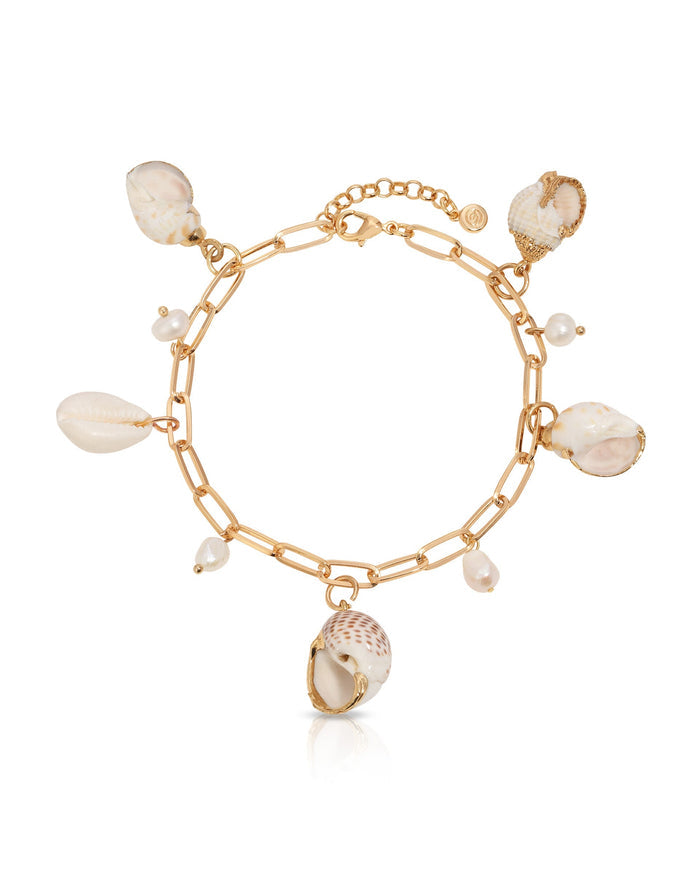 Paperclip Chain Multi-Shell Charm Anklet