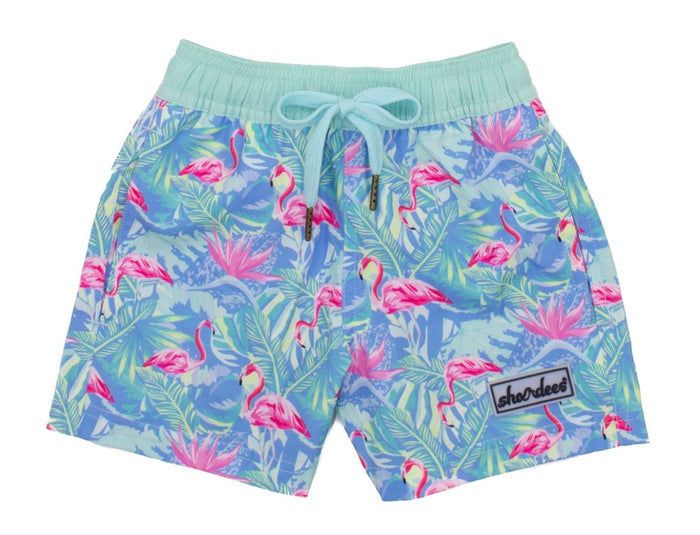 shordees swim