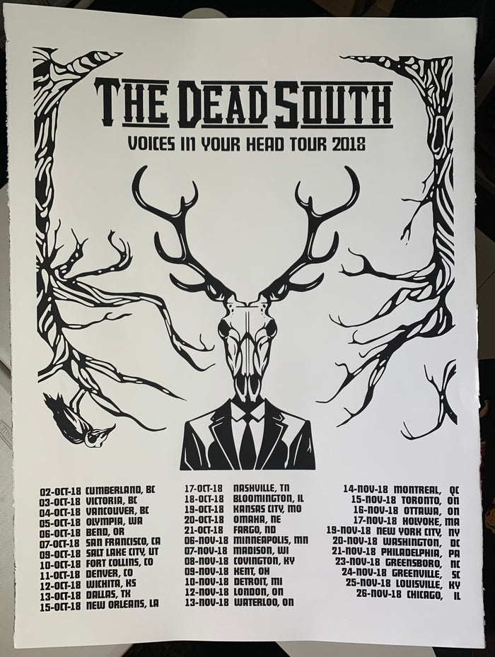 Voices In Your Head Tour 2018 Poster